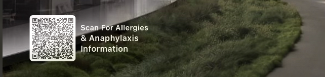 AllergyReady lockscreen widget preview